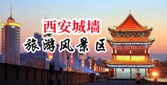 啊骚逼喷水了操的好爽视频中国陕西-西安城墙旅游风景区
